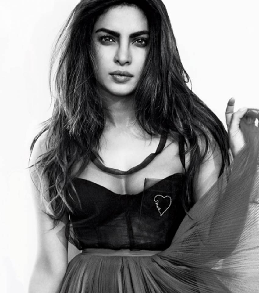 Priyanka Chopra, Dwayne Johnson, The Rock, Baywatch, Zac Effron, Alexandra Daddario, Kelly Rohrbach, Jon Bass, Seth Gordon, Cinemacon, hindi news, entertainment, jansatta