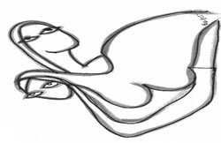 स्वीकृति और साख