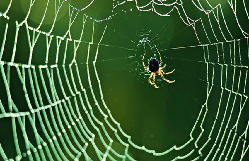 तस्वीर का इस्तेमाल प्रतीक के तौर पर किया गया है। (Photo Source: Thinkstock Images) तस्वीर का इस्तेमाल प्रतीक के तौर पर किया गया है। (Photo Source: Thinkstock Images)