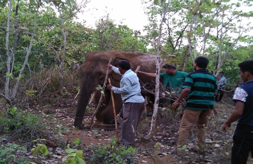अधिकारी ने कहा कि यह हमारे लिए बहुत ही मुश्किल काम था।