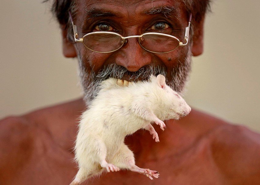 tamil nadu farmers, farmers protest, farmers protest in delhi, prime minister, narendra modi, pm modi, farmers PMO, farmers protest photos, tamil nadu, tamil nadu farmers protesters, palanisami, farmers protest, jantar mantar, farmers loan waivers, farmers protested naked, farmers eat mouse, modi govt, central govt, jansatta