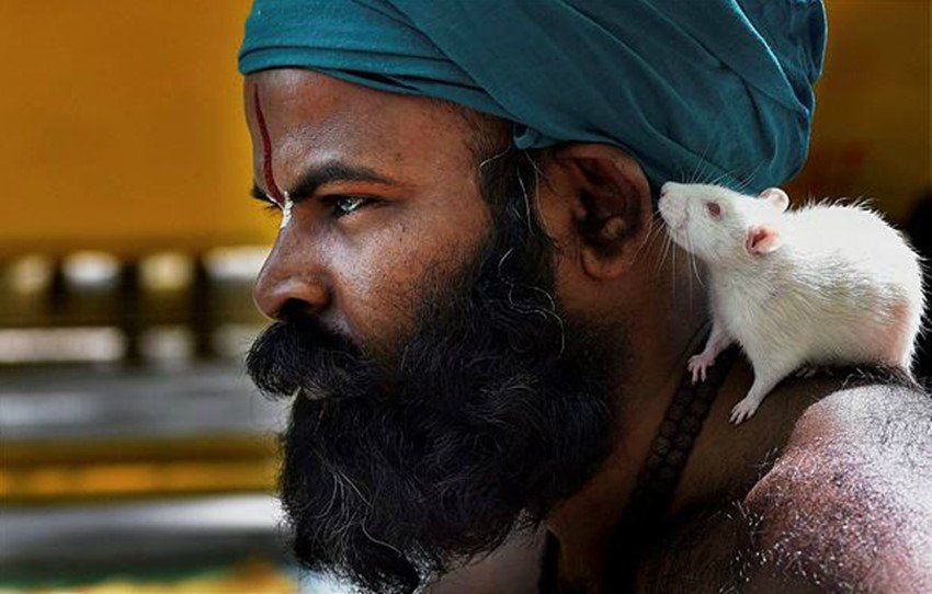 tamil nadu farmers, farmers protest, farmers protest in delhi, prime minister, narendra modi, pm modi, farmers PMO, farmers protest photos, tamil nadu, tamil nadu farmers protesters, palanisami, farmers protest, jantar mantar, farmers loan waivers, farmers protested naked, farmers eat mouse, modi govt, central govt, jansatta