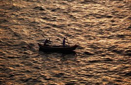 Fishermen, Indian Fishermen, Pakistani Marine, Gujarat Coast, Indian Boats, World News