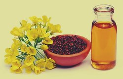 खाना पकाने से ज्यादा उपयोगी है सरसों, जानिए कैसे अलग-अलग तरीकों से पहुंचाता है लाभ