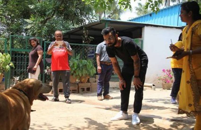 VIRAT KOHLI VIRAT KOHLI