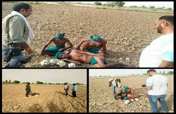 तो क्या नोएडा में शूट हुईं ये तस्वीरें? दिल्ली में तमिलनाडु के किसानों के धरना-प्रदर्शन को प्रायोजित बता रहा सोशल मीडिया