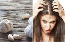 गर्मियों में बाल झड़ने से रोकने में कारगर साबित हो सकता है लहसुन, जानिए हेयरफॉल कंट्रोल करने के और भी कई उपाय