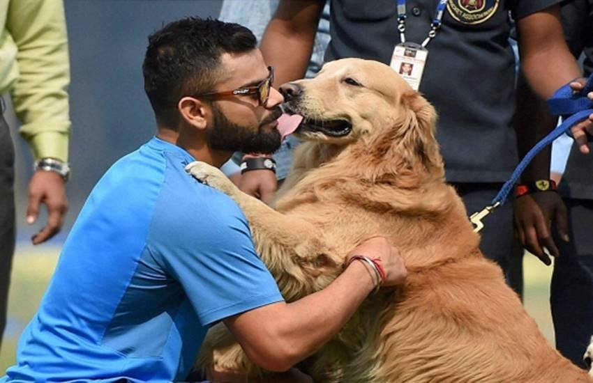 Virat Kolhi, celebrates, Easter, adopting, 15 Dogs, CARE, India, Captain, Charlie’s Animal Rescue Centre