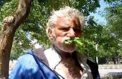 25 सालों से पेड़ों की पत्तियां और लकड़ियां खाकर जिंदा है ये पाकिस्तानी, देखें VIDEO