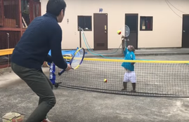 tennis, tennis fraternity, monkey play tennis, monkey tennis, Swiss player, multiple videos, Tennis Court, YouTube channel, celebrates