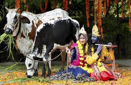 Bhagwan shri krishan, shri krishan, pooja shri krishan, god, idol of shri krishan,भगवान श्रीकृष्ण, राधा, हिंदू धर्म