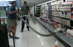 दही निकालने के लिए महिला ने फ्रिजर में डाला हाथ तो निकल आया 12 फुट का सांप, देखकर निकल गई चीख़