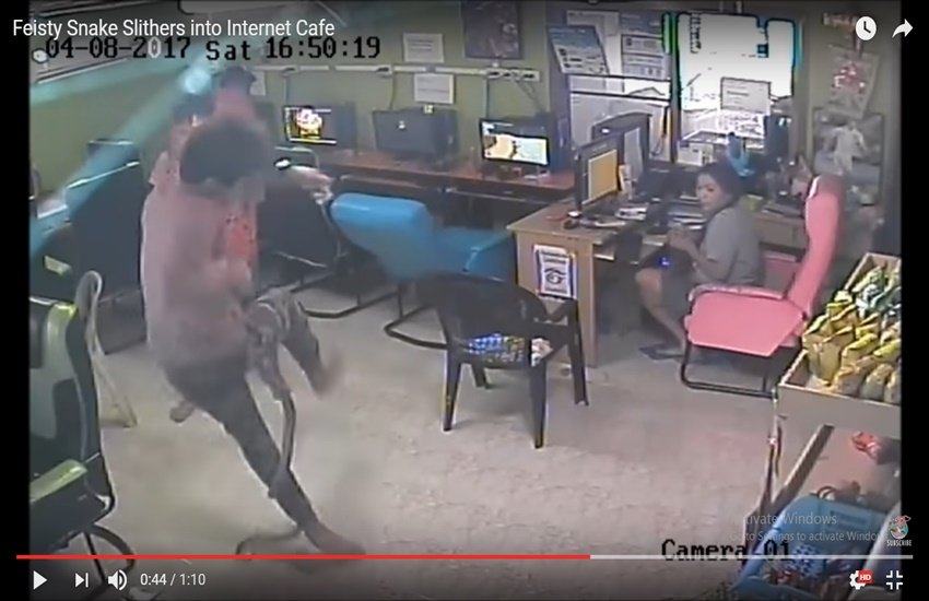 तस्वीर को वायरल हो रहे इस वीडियो का हिस्सा है। तस्वीर को वायरल हो रहे इस वीडियो का हिस्सा है।