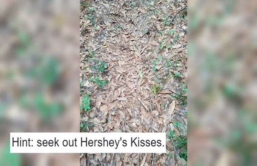 इस पहेली को सुलझाने में लोगों के पसीने छूट गए लेकिन उन्हें सांप नहीं मिला।
(Source: @SssnakeySci/Twitter) इस पहेली को सुलझाने में लोगों के पसीने छूट गए लेकिन उन्हें सांप नहीं मिला।
(Source: @SssnakeySci/Twitter)