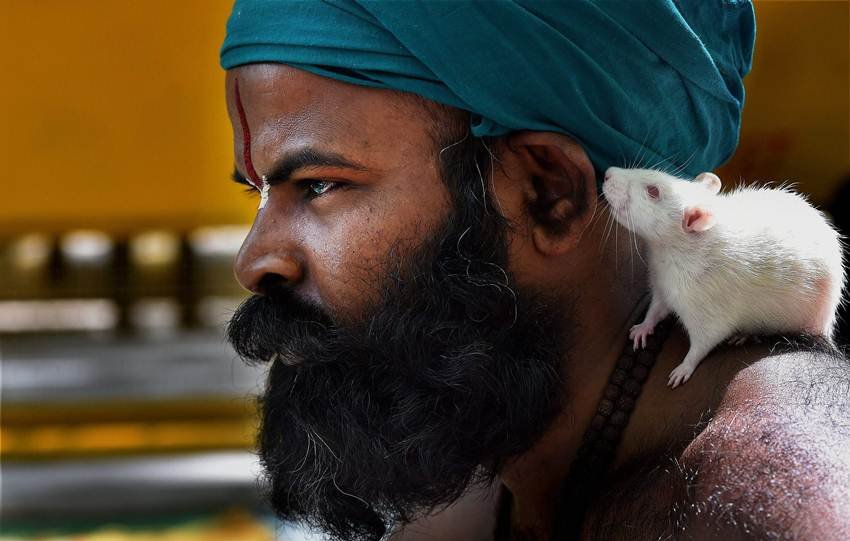 Drought, Farmer, Tamil Nadu, Centre, Loan, Loan waiver, Weather, PM Narendra modi, Jantar Mantar, Drought hit, Rain, Delhi, Tamil Nadu farmers, run naked, PM office, Narendra Modi, tamil farmers protests, tamil farmers jantar mantar, jantar mantar protests, tamil nadu, tamil nadu government, bjp, modi government, tamil nadu news, tamil farmers news, india news