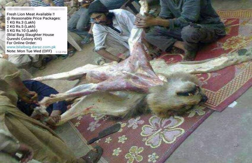 वायरल तस्वीर। वायरल तस्वीर।