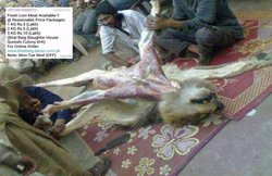 पाकिस्तान में वायरल हुई 3 लाख रुपए किलो शेर का मांस बिकने की झूठी खबर