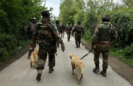 Army soldiers at a search operation in Shopian district