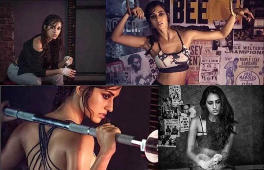 disha patani, disha patani photos, disha patani hot image, disha patani images, disjha patani ms dhoni the untold story, disha patani instagram, disha patani movies, disha patani bikini, disha patani bikin pictures, disha patani sexy images, disha patani sexy photos, disha patani karan johar party, disha patani news, entertainment news in hindi
