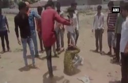 मध्‍य प्रदेश में गो-तस्‍कर बताकर जिनकी पिटाई की गई, वे मजदूरी की तलाश में आए थे