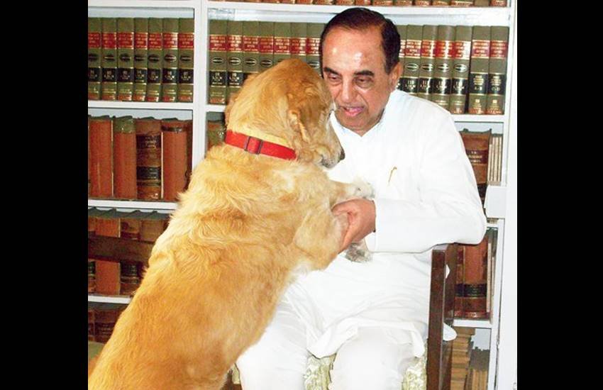 Vasundhra raje, ramashankar katheriya, uma bharti, meneka gandhi, atal bihari vajpayee, yogi adtiya nath, aditya nath dog, bjp leaders with dog, dog lovers in bjp, bjp leaders, cow vs dogs