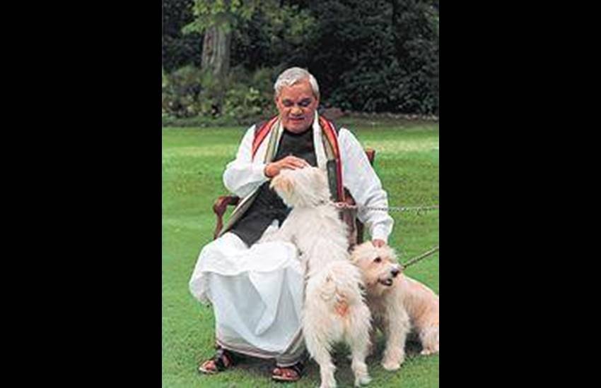 Vasundhra raje, ramashankar katheriya, uma bharti, meneka gandhi, atal bihari vajpayee, yogi adtiya nath, aditya nath dog, bjp leaders with dog, dog lovers in bjp, bjp leaders, cow vs dogs