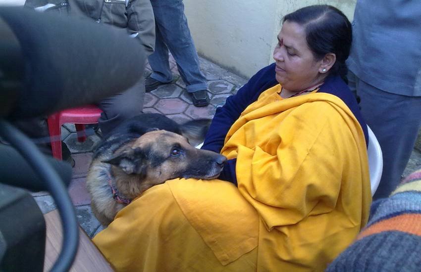 Vasundhra raje, ramashankar katheriya, uma bharti, meneka gandhi, atal bihari vajpayee, yogi adtiya nath, aditya nath dog, bjp leaders with dog, dog lovers in bjp, bjp leaders, cow vs dogs