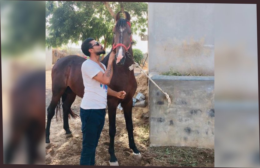 Ravindra Jadeja, uploaded, picture, Instagram, horse, ipl, ipl10, india Ravindra Jadeja, uploaded, picture, Instagram, horse, ipl, ipl10, india