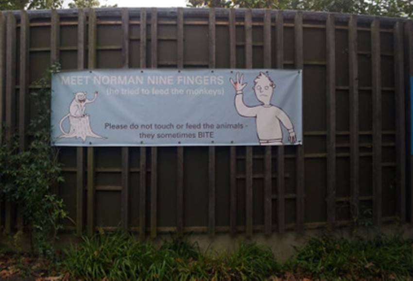 अरे नहीं... (Source: Tinie_Snipah/ reddit)