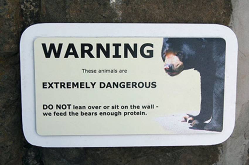 इसकी प्रोटीन की जरूरत आप नहीं पूरी करना चाहेंगे। (Source: Bongo/Zoo Chat)