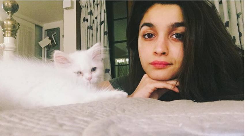 alia bhatt, alia bhatt 24 birthday, alia birthday girft, alia share a picture of kitten, alia loves pets, alia bhatt movies, alia bhatt films, jansatta, jansatta online