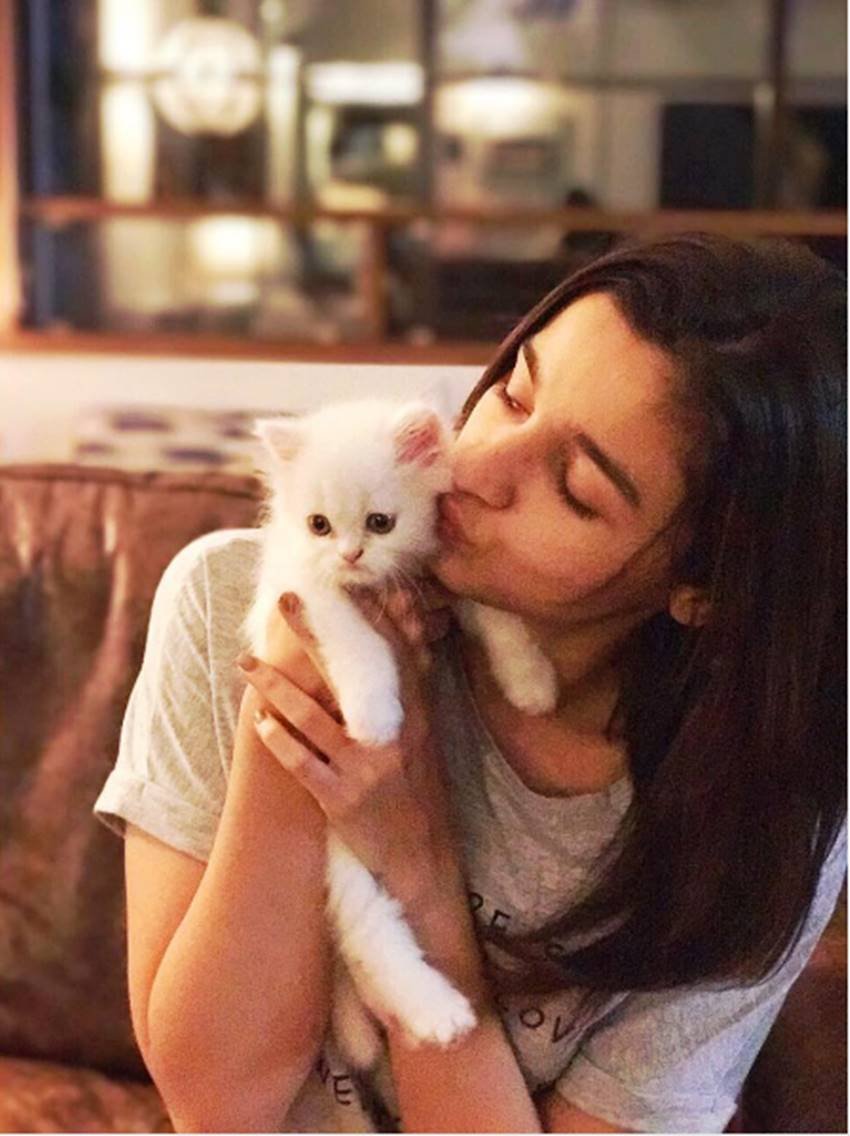 alia bhatt, alia bhatt 24 birthday, alia birthday girft, alia share a picture of kitten, alia loves pets, alia bhatt movies, alia bhatt films, jansatta, jansatta online