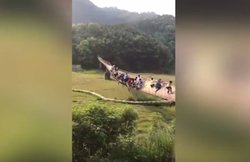 वीडियो: देखते ही देखते उलट गया लकड़ी का पुल, फंसे हुए लोगों की ऐसे बची जान