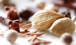 उपवास के होते हैं अनेक फायदे, दिमाग होता है दुरूस्त, डिप्रेशन से भी मिलता है छुटकारा