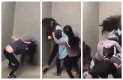 VIRAL VIDEO: लड़कियों के बीच जमकर बरसे लात घूंसे, अब तक 8 लाख से ज्यादा लोगों ने देखी ये कैट फाइट