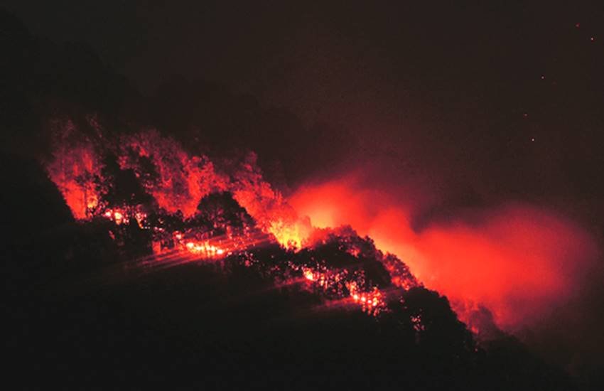 आजादी के बाद 1949 में पहाड़ के सभी जंगल उत्तर प्रदेश सरकार के अधीन आ गए। 