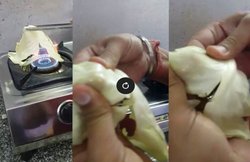 सोशल मीडिया पर वायरल हुआ ‘प्लास्टिक’ के पत्ता गोभी का वीडियो, लोगों ने बताया चीन की करतूत