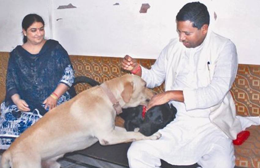 Vasundhra raje, ramashankar katheriya, uma bharti, meneka gandhi, atal bihari vajpayee, yogi adtiya nath, aditya nath dog, bjp leaders with dog, dog lovers in bjp, bjp leaders, cow vs dogs