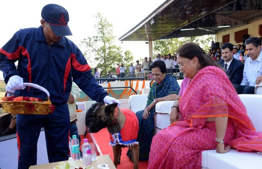 Vasundhra raje, ramashankar katheriya, uma bharti, meneka gandhi, atal bihari vajpayee, yogi adtiya nath, aditya nath dog, bjp leaders with dog, dog lovers in bjp, bjp leaders, cow vs dogs