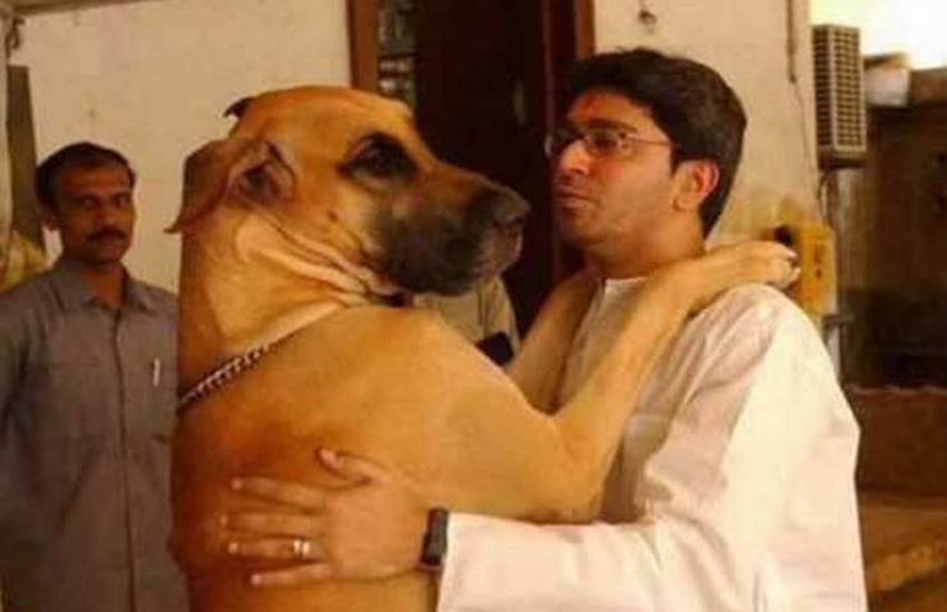 Vasundhra raje, ramashankar katheriya, uma bharti, meneka gandhi, atal bihari vajpayee, yogi adtiya nath, aditya nath dog, bjp leaders with dog, dog lovers in bjp, bjp leaders, cow vs dogs