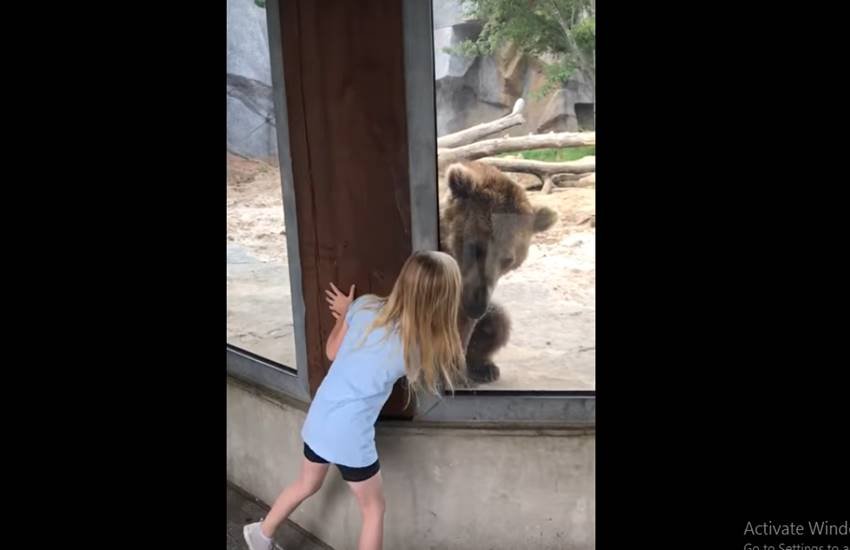 तस्वीर का इस्तेमाल वीडियो से किया गया है।