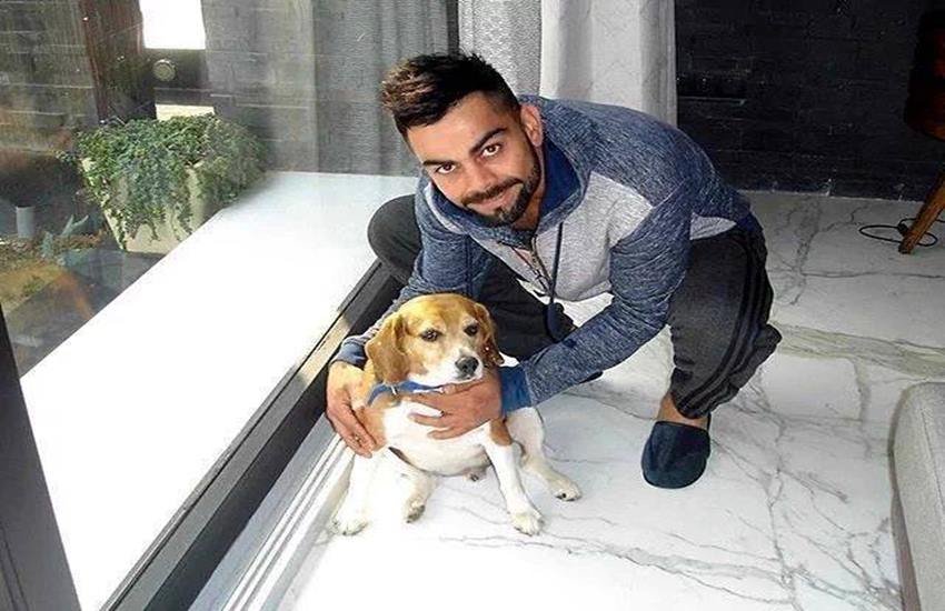 sachin tendulkar, virat kohli, ms dhoni, david warner, michel clark, indian cricketer, sachin tendulkar, sourav ganguly, david warner, home of indian cricketer, home of sachin tendulkar, home of david warner, home of sourav ganguly,सचिन तेंदुलकर, महेन्द्र सिंह धोनी, विराट कोहली, भारतीय क्रिकेट टीम के पूर्व कप्तान महेन्द्र सिंह धोनी, पूर्व कप्तान महेन्द्र सिंह धोनी, महेन्द्र सिंह धोनी, विरोट कोहली,
