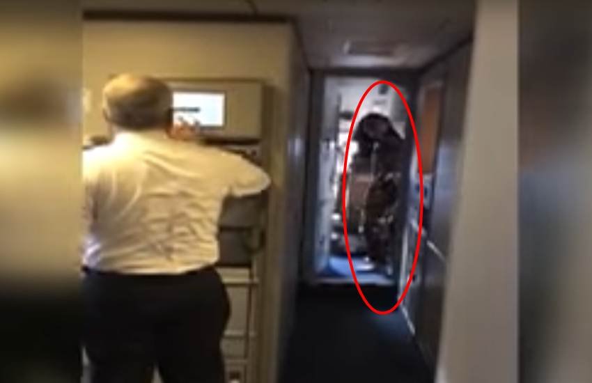 कॉकपिट में मौजूद महिला। (Source: Youtube/Video Grab) कॉकपिट में मौजूद महिला। (Source: Youtube/Video Grab)