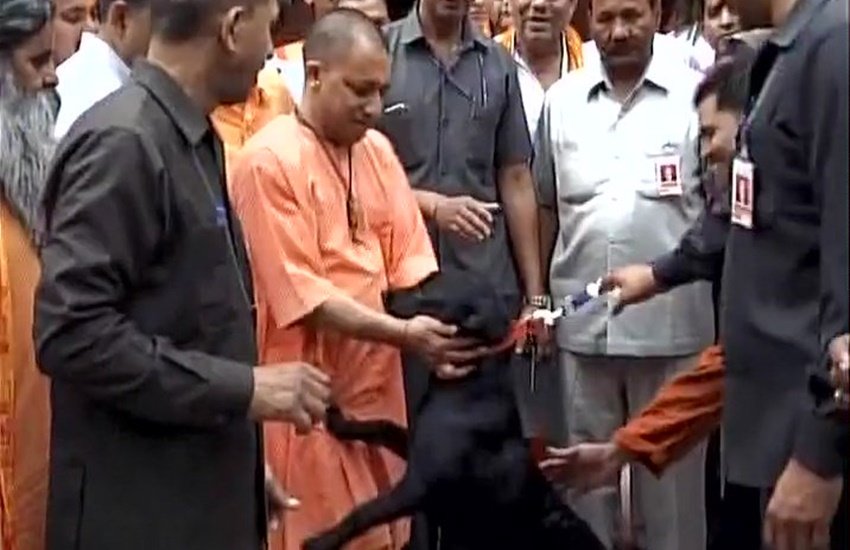 गोरखपुर पहुंचे आदित्य नाथ का 'कालू' ने ऐसे किया स्वागत। (ANI Photo)