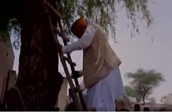 वीडियो: फोन का नेटवर्क नहीं आ रहा था, केन्द्रीय मंत्री को सीढ़ी पर चढ़कर करनी पड़ी बात