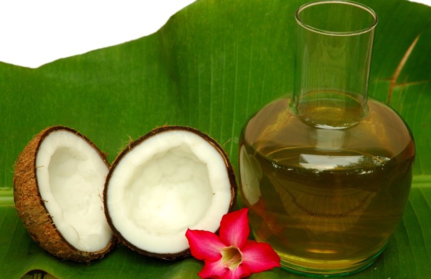Coconut Oil, use of Coconut Oil, Coconut Oil Benefits, oil, five benefits of coconut oil, coconut oil benefits, five benefits of coconut oil in hindi, health news, jansata in hindi, jansatta