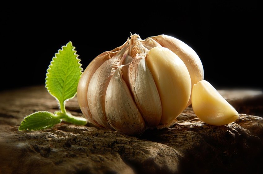 Ginger ,benefits of ginger, five benefits of ginger, benefits use of ginger, ginger beneficial in many disease, five benefits of ginger in hindi, health news, health news in hindi , jansatta