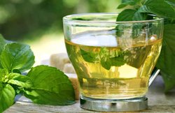 कई बीमारियां को दूर करती है ग्रीन टी, जानें इसके फायदे