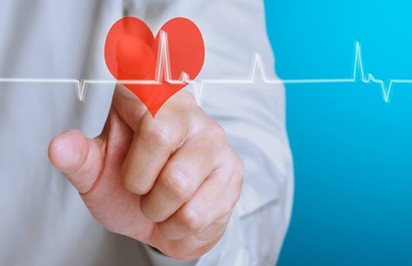 heart, heart blockage, heart disease, heart blockage foods, get rid from heart blockage with these foods, tips to get rid from heart blockage, food for heart blockage, foods to eat in heart blockage, heart blockage foods in hindi, get rid from heart blockage with these foods in hindi, tips to get rid from heart blockage in hindi, food for heart blockage in hindi, foods to eat in heart blockage in hindi, health food tips, health food tips in hindi, healthy heart, health and healthy heart, health news, health news in hindi, jansatta heart, heart blockage, heart disease, heart blockage foods, get rid from heart blockage with these foods, tips to get rid from heart blockage, food for heart blockage, foods to eat in heart blockage, heart blockage foods in hindi, get rid from heart blockage with these foods in hindi, tips to get rid from heart blockage in hindi, food for heart blockage in hindi, foods to eat in heart blockage in hindi, health food tips, health food tips in hindi, healthy heart, health and healthy heart, health news, health news in hindi, jansatta