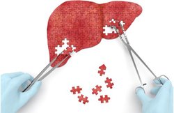 अपने खाने में इन दस चीजों को शामिल करके पा सकते हैं लीवर की बीमारी से छुटकारा